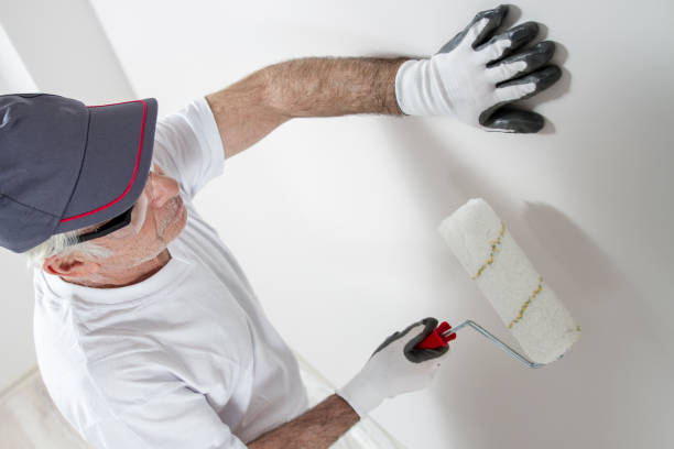 Best Attic Mold Removal  in USA